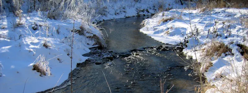 Featured image of post A year later, here we go