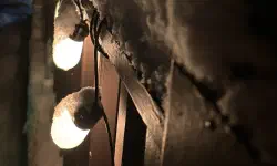 Featured image of post End of year update