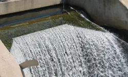 Featured image of post My duct taped care team, a new direction