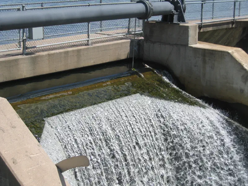 Featured image of post My duct taped care team, a new direction