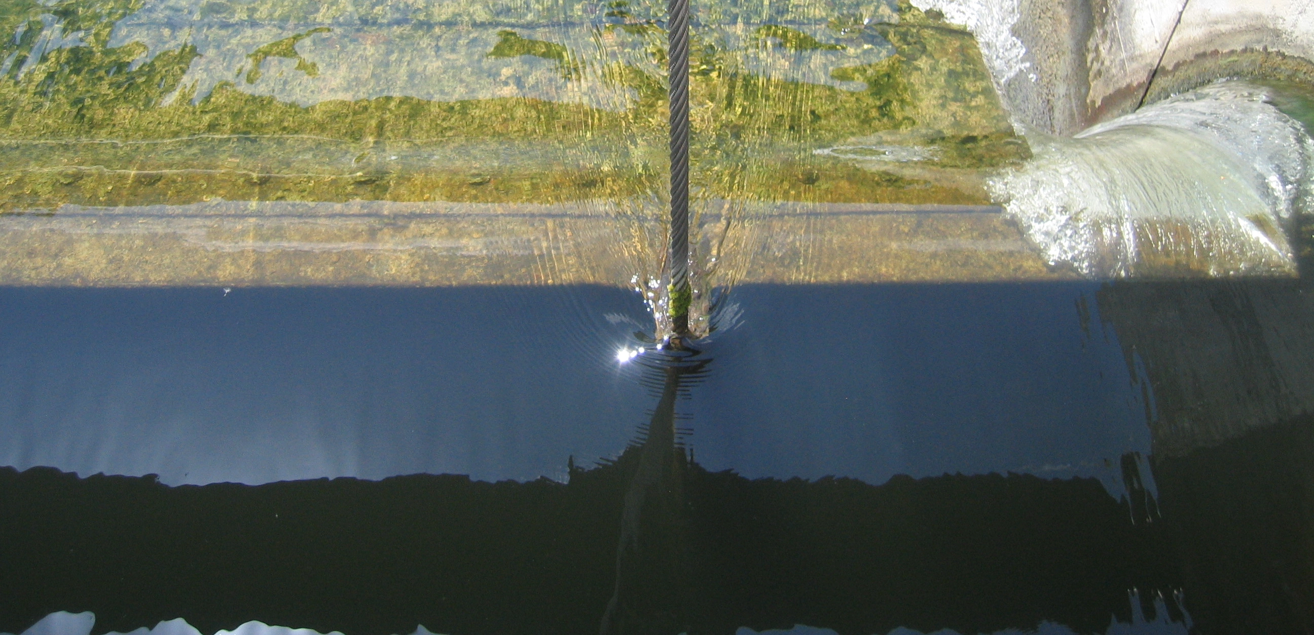Featured image of post Scripps GLP-1 drug trial