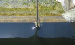 Featured image of post Scripps GLP-1 drug trial