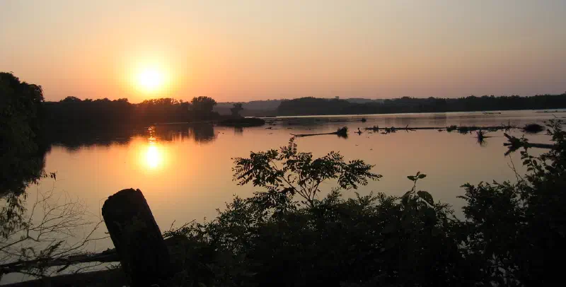 Featured image of post Talk of circadian rhythm 👨‍🎤