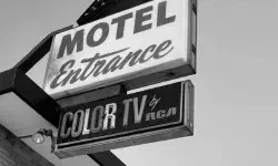 Featured image of post The loss of color