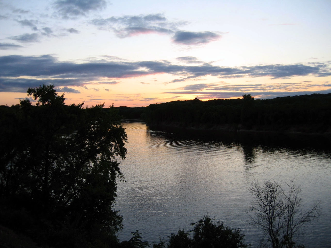 Featured image of post Welcome to the Mayo Clinic and Scripps trial walk away
