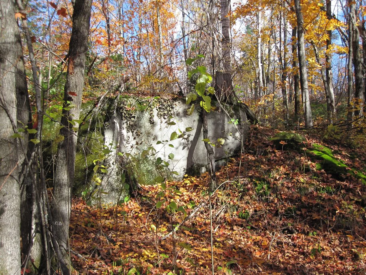 Featured image of post Resources